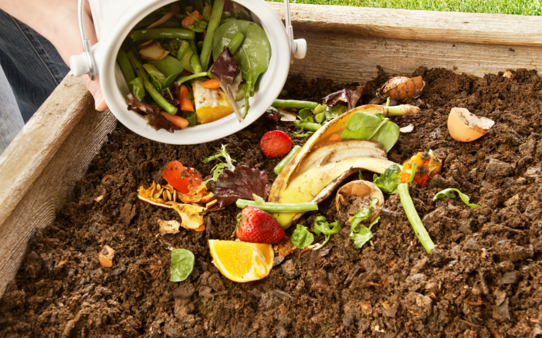 Composting at Home: Everything You Need to Know to Get Started